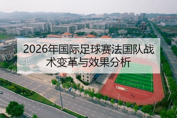 2026年国际足球赛法国队战术变革与效果分析