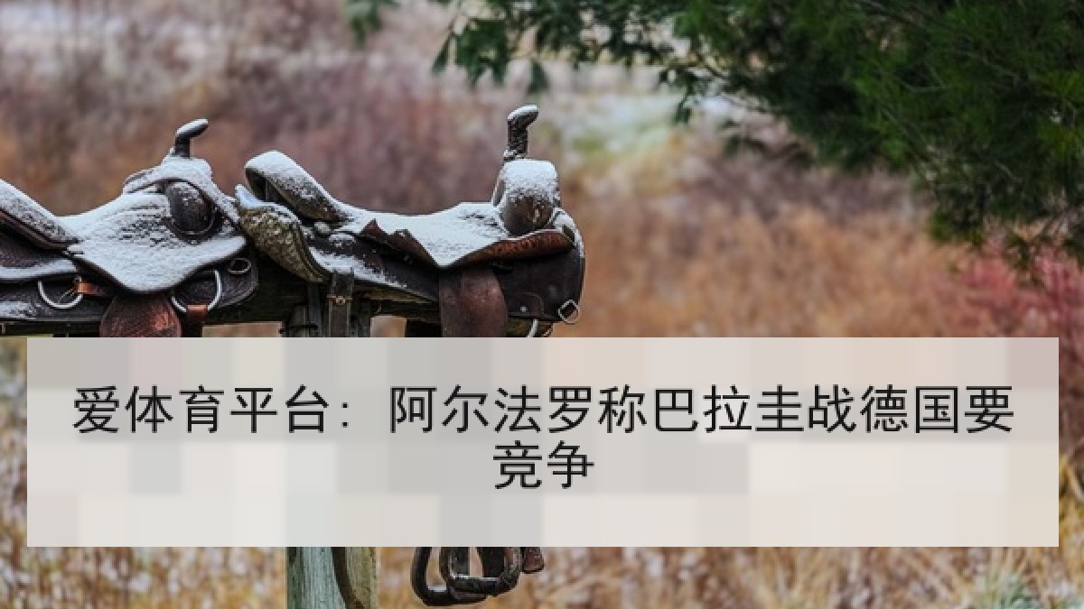 爱体育平台: 阿尔法罗称巴拉圭战德国要竞争