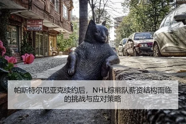 帕斯特尔尼亚克续约后，NHL棕熊队薪资结构面临的挑战与应对策略